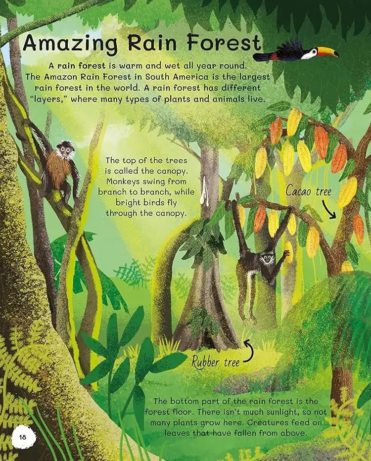 All About Trees | Hardcover