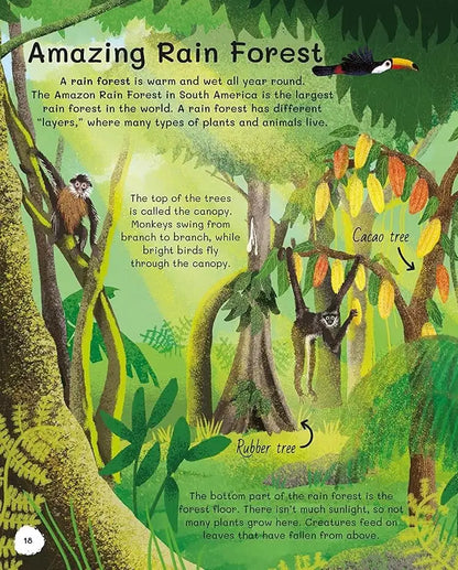 All About Trees | Hardcover