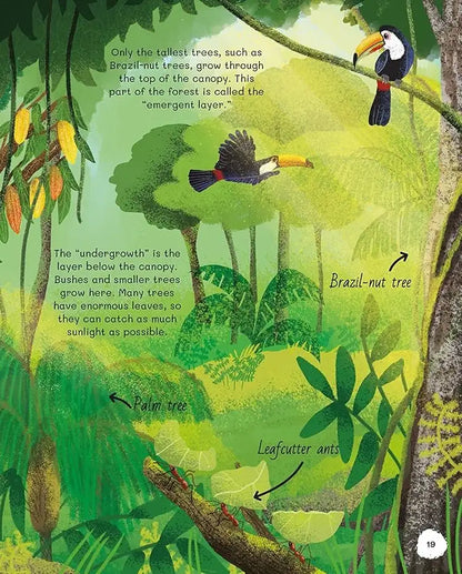 All About Trees | Hardcover