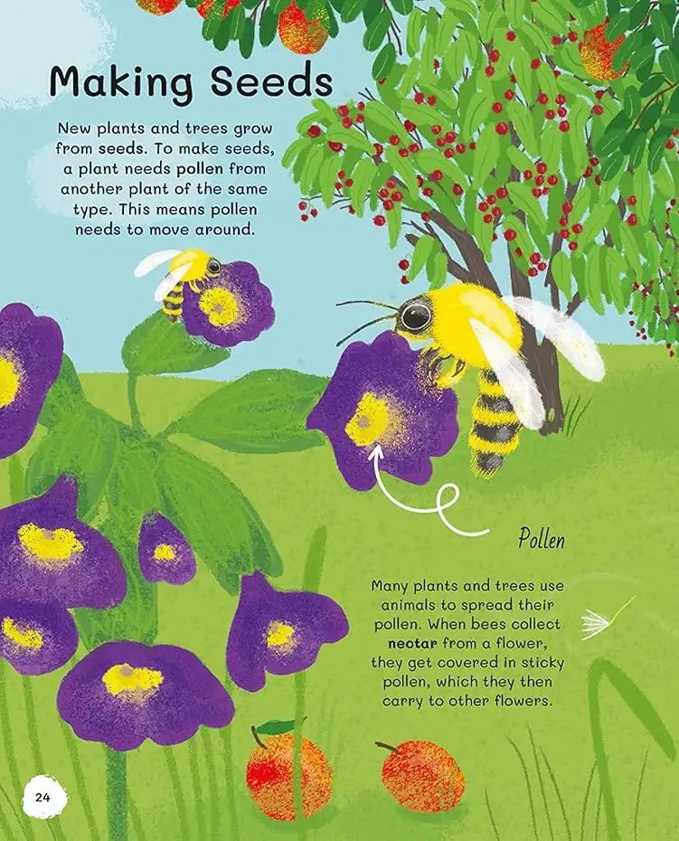 All About Trees | Hardcover