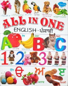 All In One English Punjabi