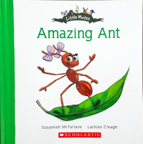 Amazing Ant - Little Mates