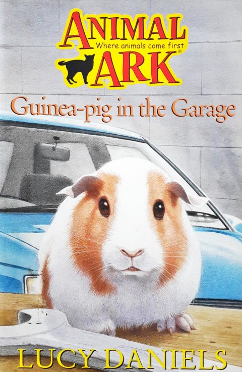 Animal Ark Guinea Pig In The Garage