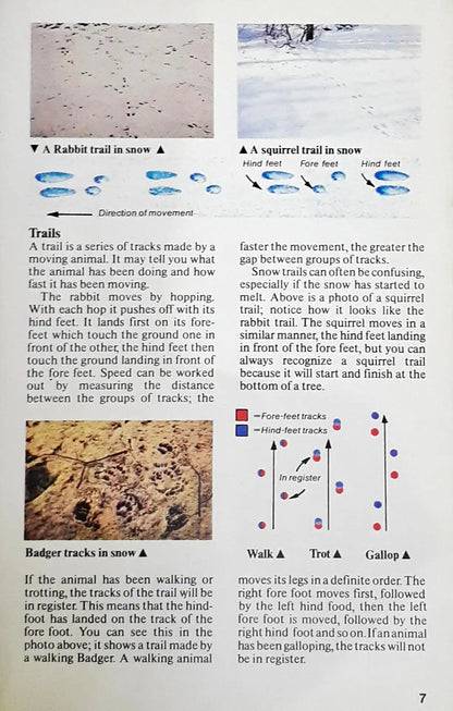 Usborne Spotter's Guides Animals Tracks And Signs (P)