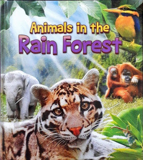 Animals In The Rain Forest