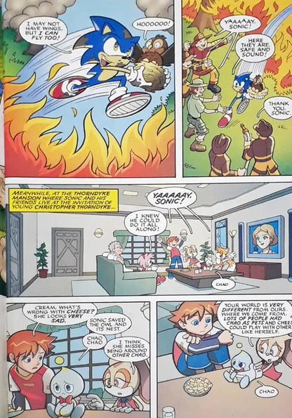 Sonic X : Archie Comics Adventure Series No. 5