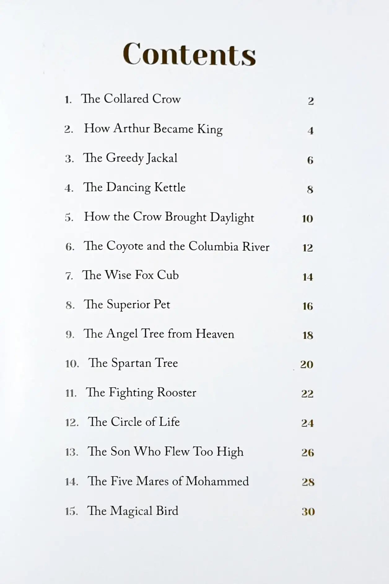 The Fighting Rooster and other Stories : Around The World