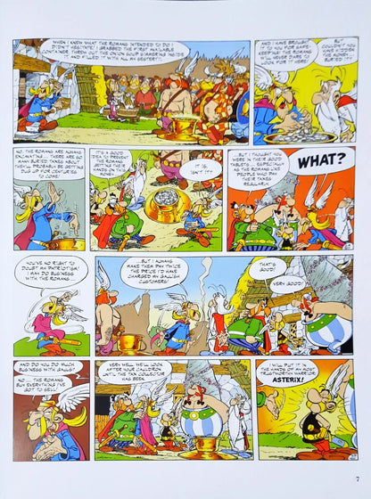 Astérix #13 - Asterix Vol. 13 : Asterix and the Cauldron