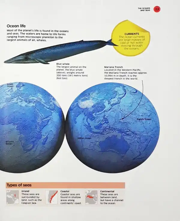 Atlas Of My World : A Children's Reference Guide to the Countries and Cultures around us