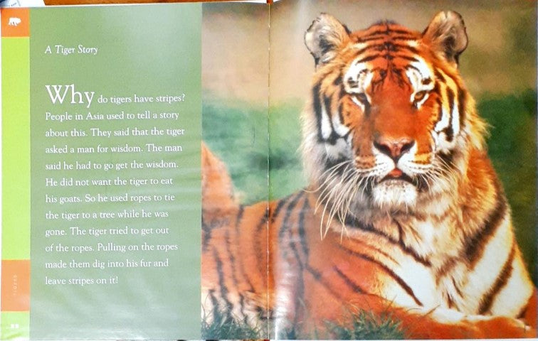 Amazing Animals - Tigers – Books and You