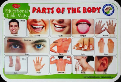 Body Parts - Educational Table Mats (Wipe & Clean Double Sided)