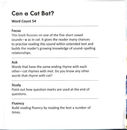 Funny Photo Phonics Can a Cat Bat?