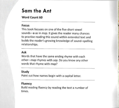 Funny Photo Phonics Sam the Ant