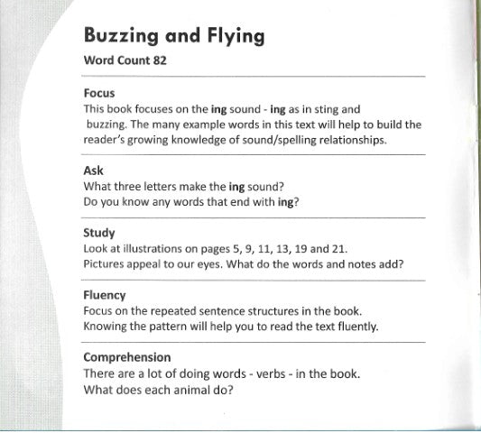 Funny Photo Phonics Buzzing and Flying