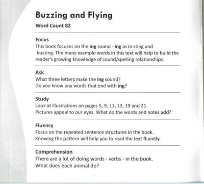 Funny Photo Phonics Buzzing and Flying