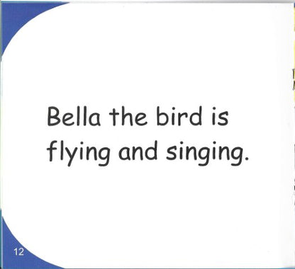 Funny Photo Phonics Buzzing and Flying