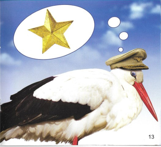 Funny Photo Phonics Stars and Storks