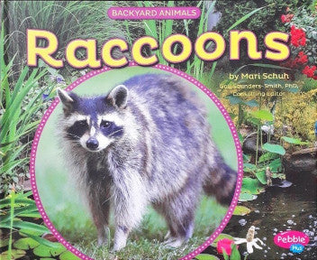 Backyard Animals Raccoons