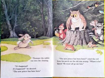 Walt Disney's Wonderful World Of Reading Bambi Grows Up