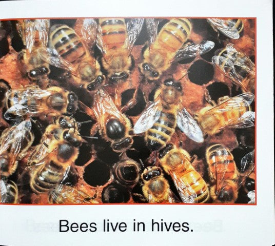 Bees Live In Hives
