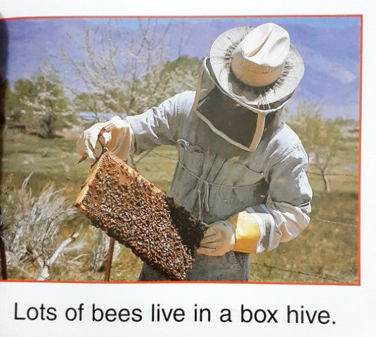 Bees Live In Hives