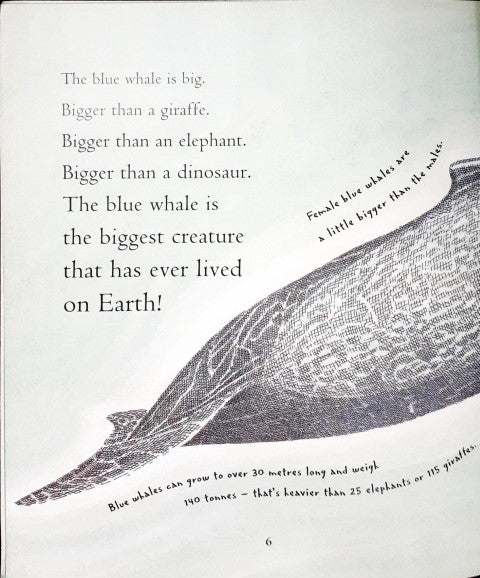 Big Blue Whale – Books and You