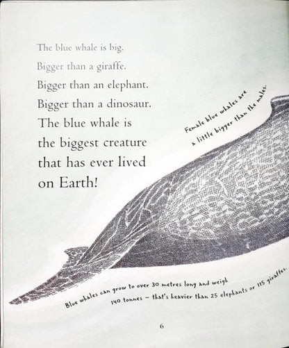 Big Blue Whale