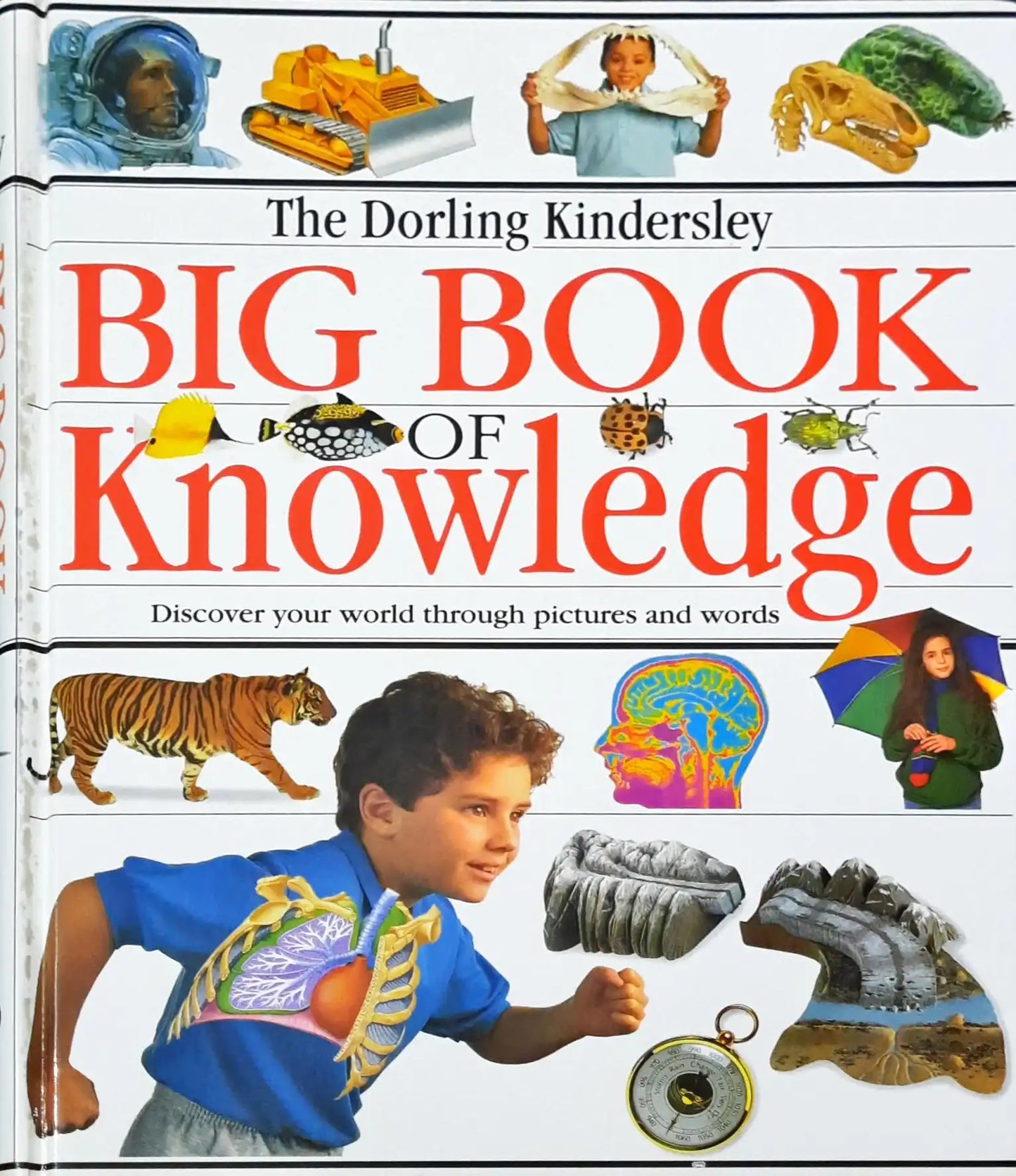 The Dorling Kindersley Big Book of Knowledge (HC) (P)