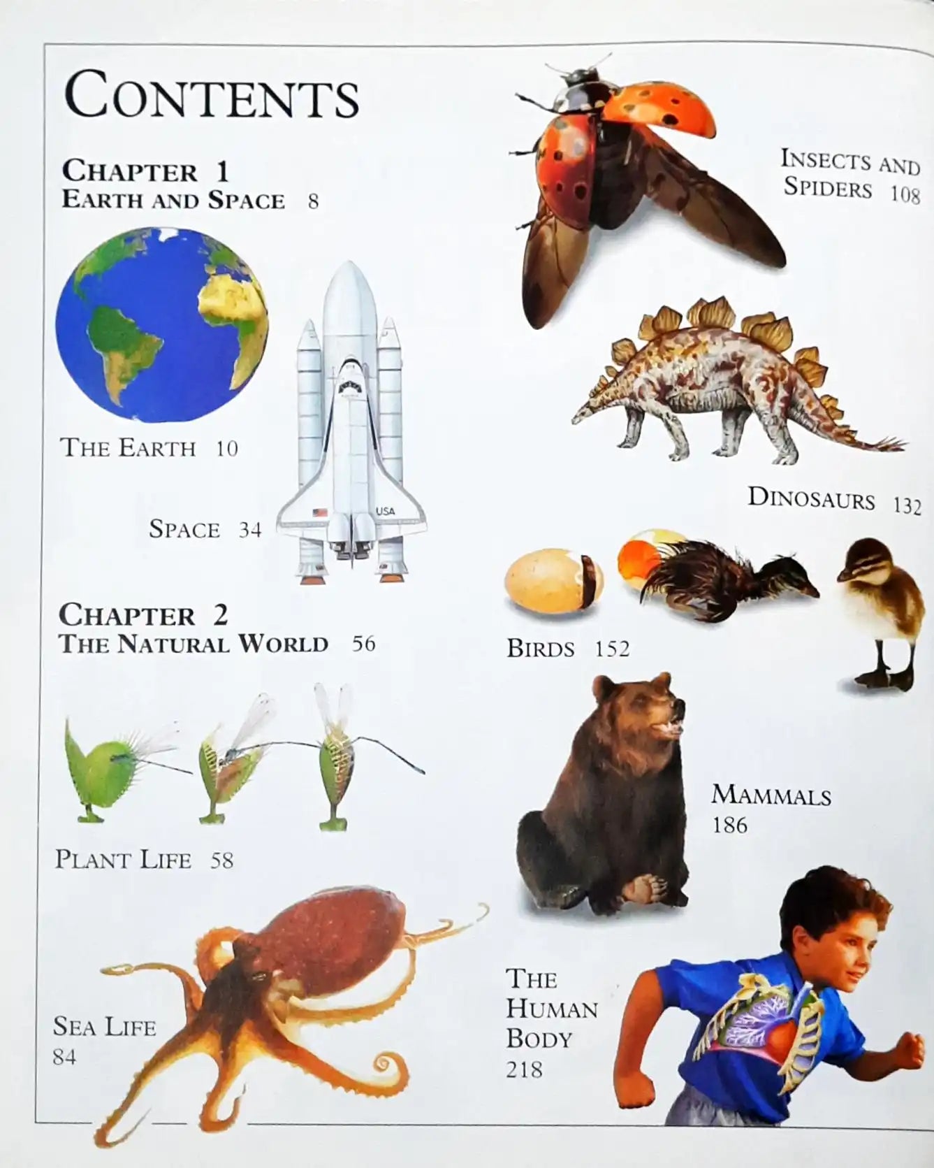 The Dorling Kindersley Big Book of Knowledge (HC) (P)