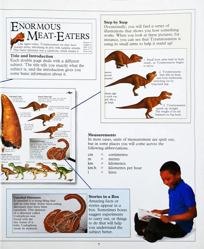 The Dorling Kindersley Big Book of Knowledge (HC) (P)