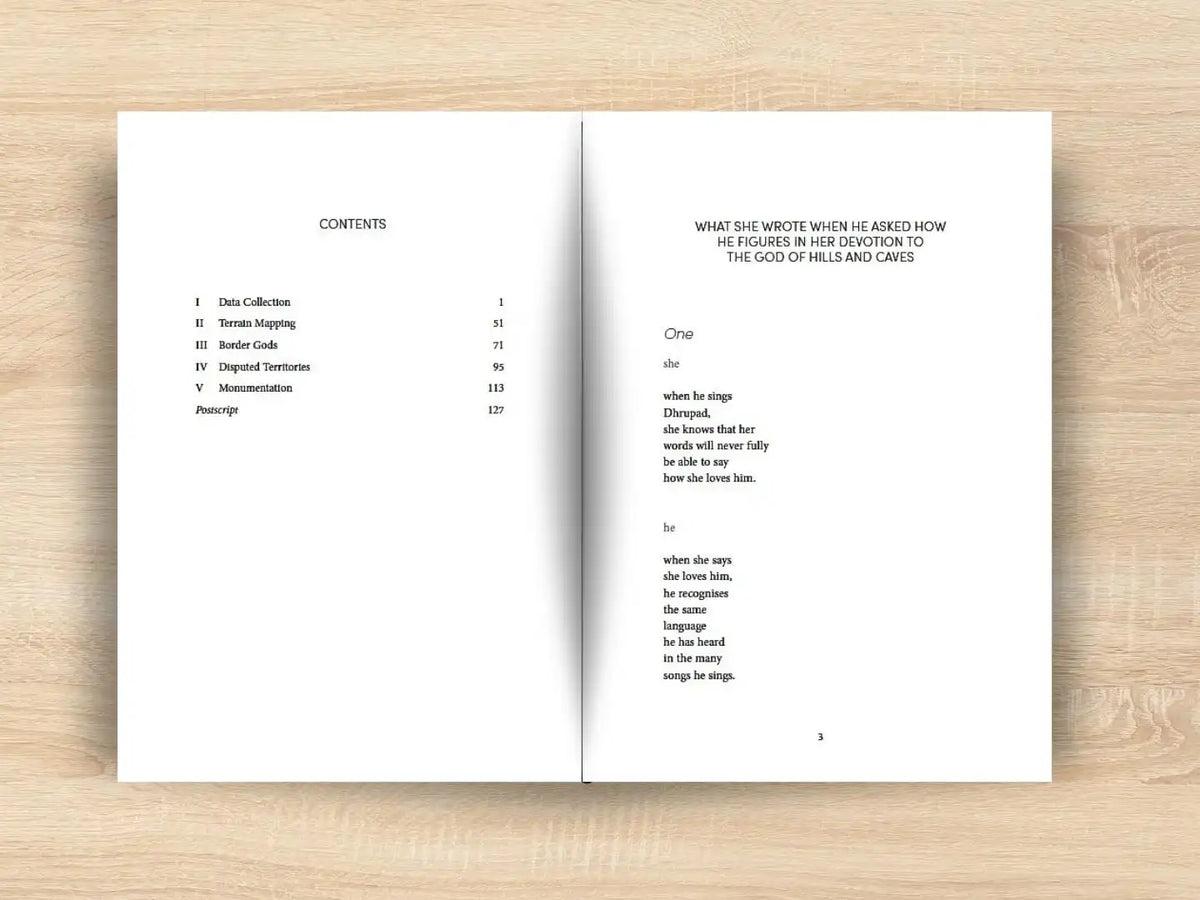 Boundary Commissions : Love Poems