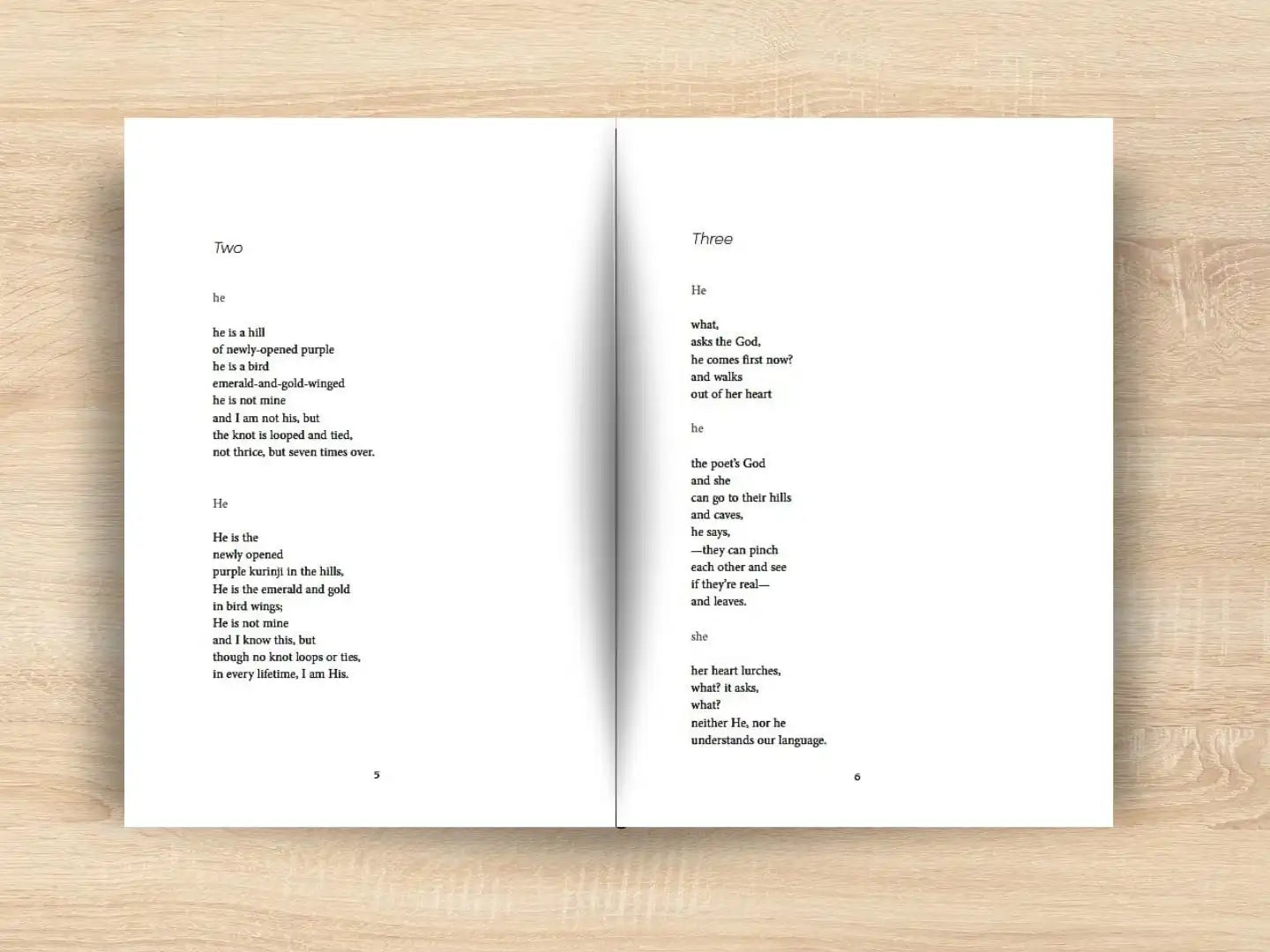 Boundary Commissions : Love Poems