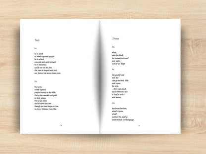 Boundary Commissions : Love Poems