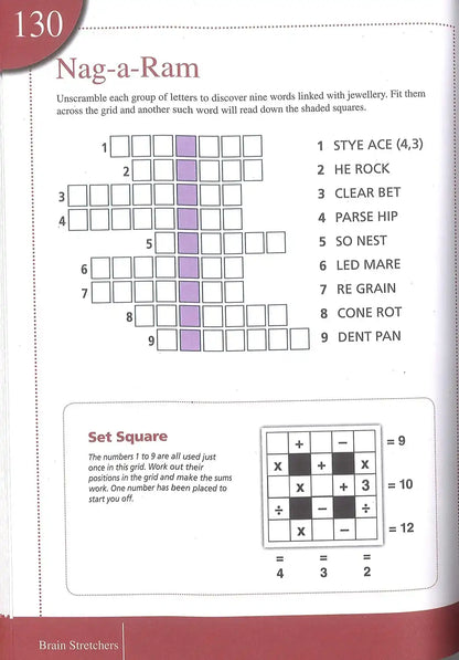 Brain Stretchers : Puzzles Book 1