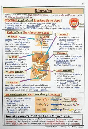 Science The Revision Guide Key Stage 3