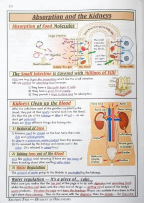 Science The Revision Guide Key Stage 3