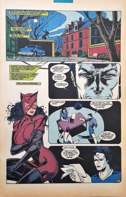 Gotham DC Comics Catwoman Cat File Three Catwoman #17 Jan 95