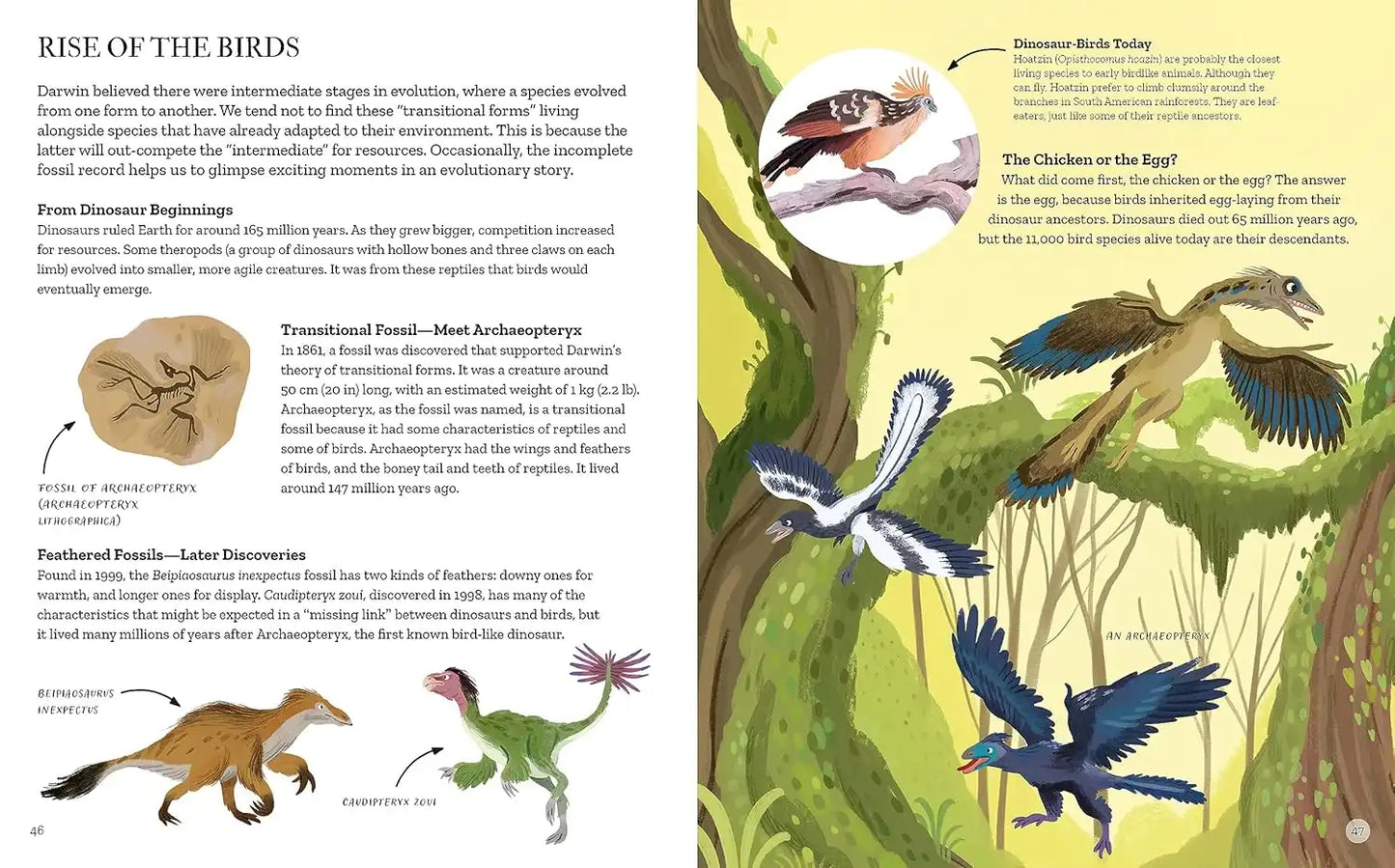 Charles Darwin's On the Origin of Species |Hardcover