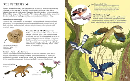 Charles Darwin's On the Origin of Species |Hardcover