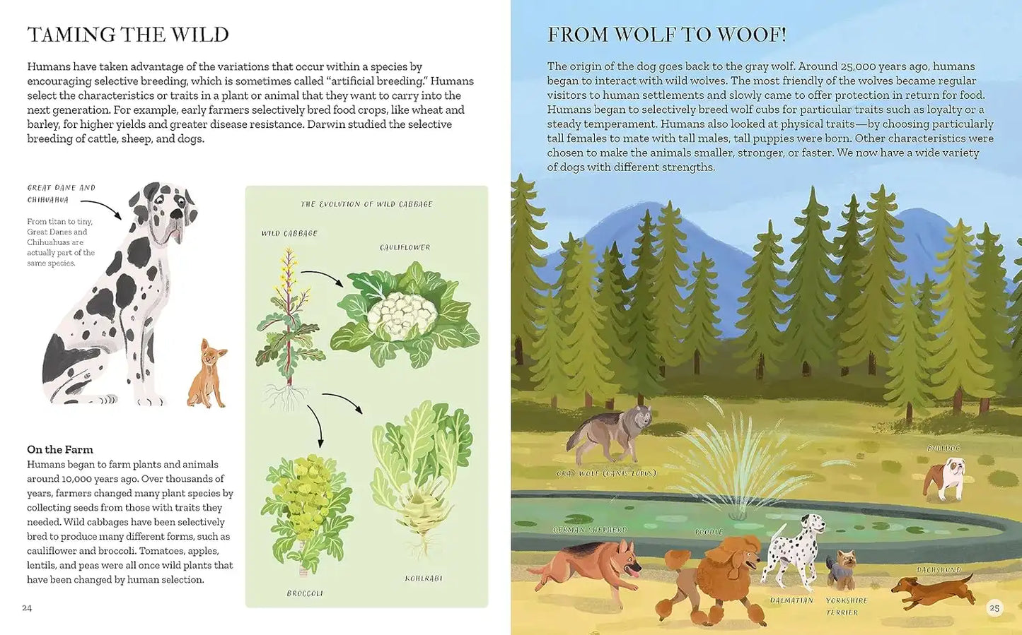 Charles Darwin's On the Origin of Species |Hardcover