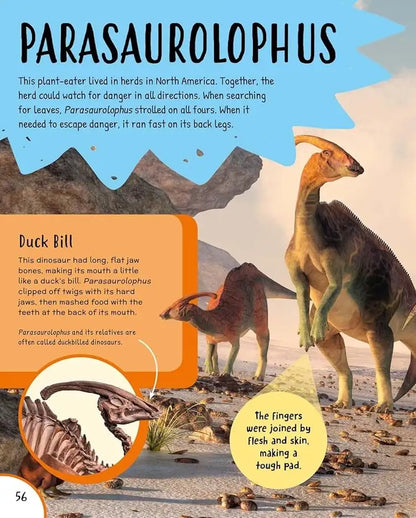 Children's First Encyclopedia : Discover an Amazing World of Knowledge | Hardcover