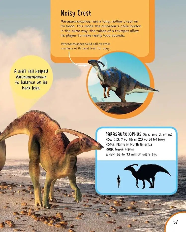 Children's First Encyclopedia : Discover an Amazing World of Knowledge | Hardcover