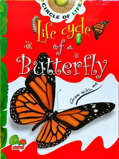 Circle of Life: Life Cycle of a Butterfly