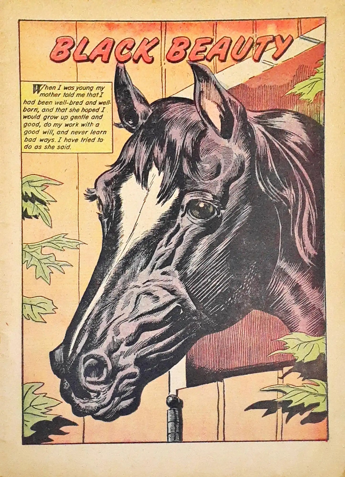 Classics Illustrated Black Beauty (P)