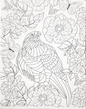 Colouring Book for Adults Animals and Birds