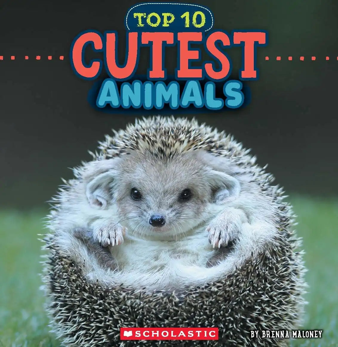 Cutest Animals