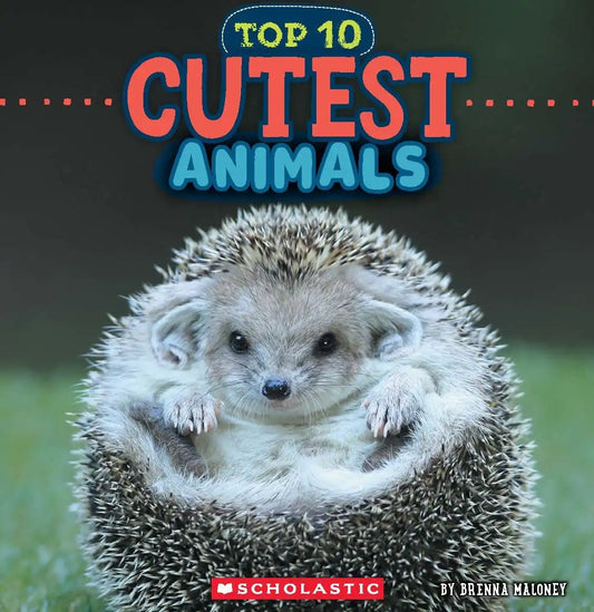Cutest Animals