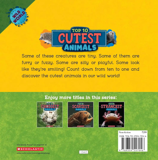 Cutest Animals