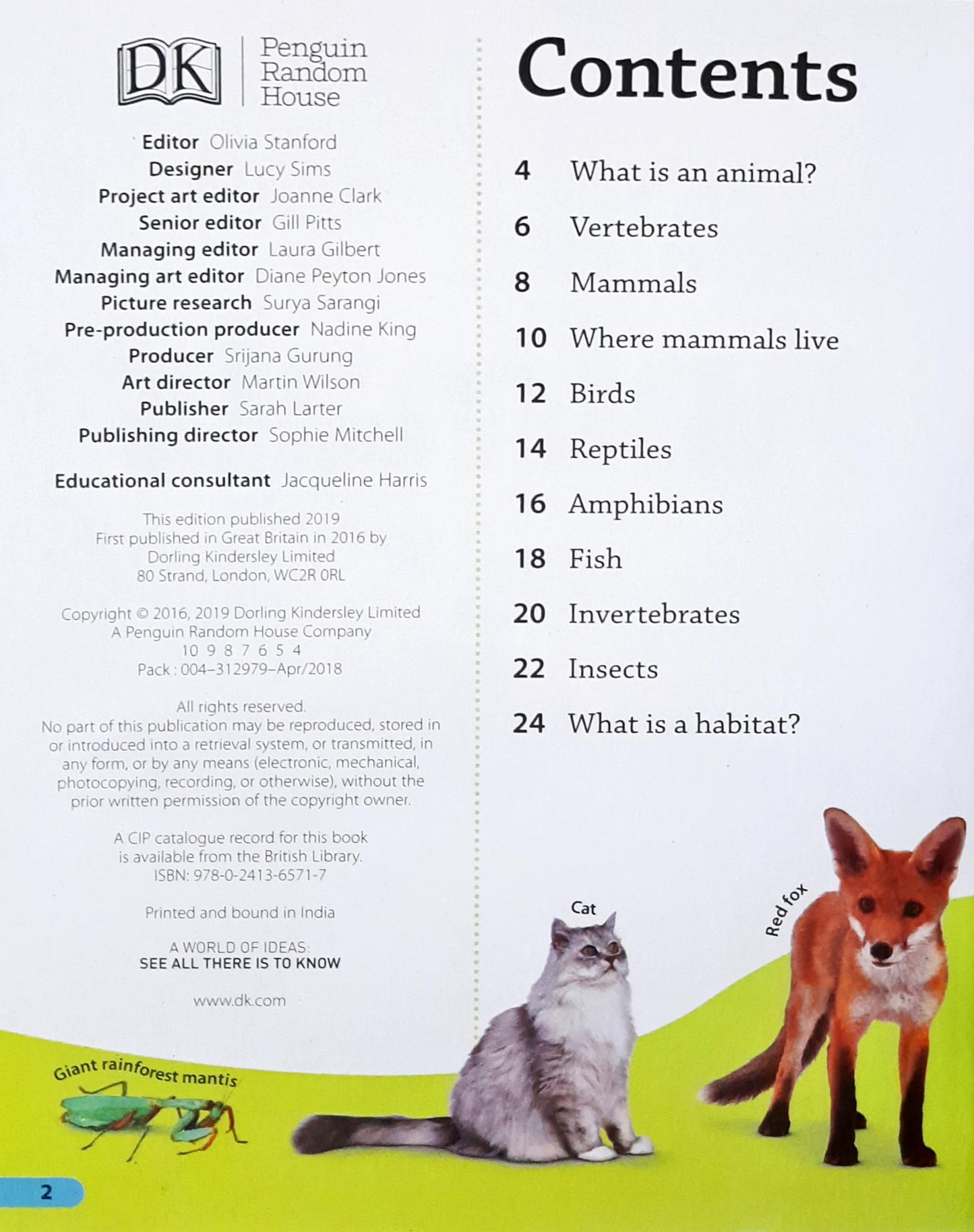 DK Findout Animals