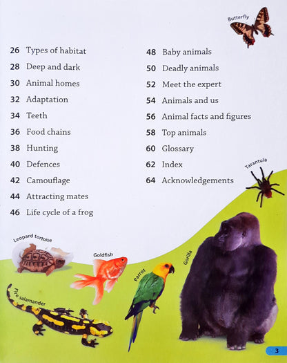 DK Findout Animals